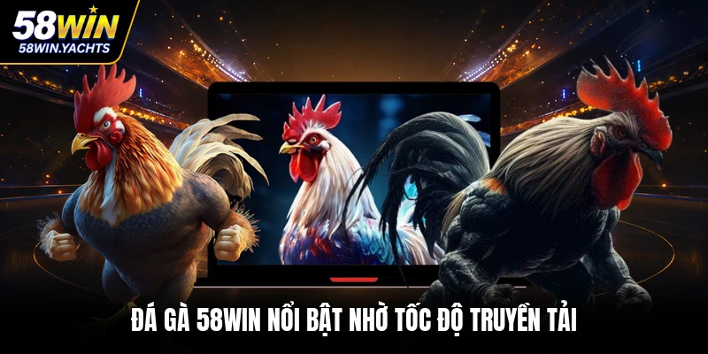 Đá gà 58WIN nổi bật nhờ tốc độ truyền tải
